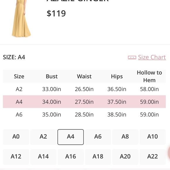 Azazie bridesmaids dress “Ginger” style - Picture 4 of 5